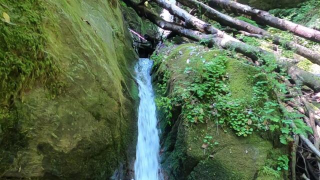 Компас /210/ От хижа Беласица до Лешнишки водопад и обратно