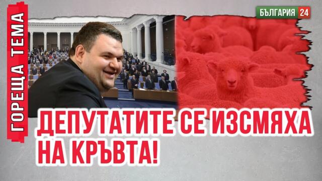 Избиването на стада и масовите пожари  освобождават терени за фотоволтаиците!