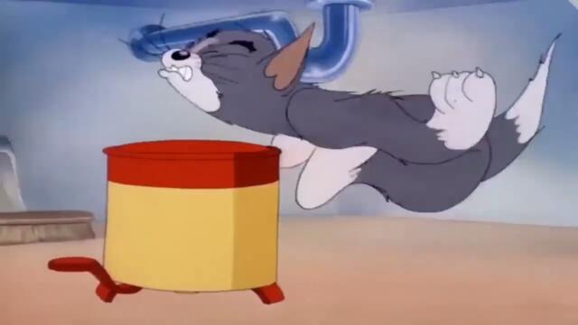 This Isn’t Tom & Jerry… Or Is It? 😹🔥