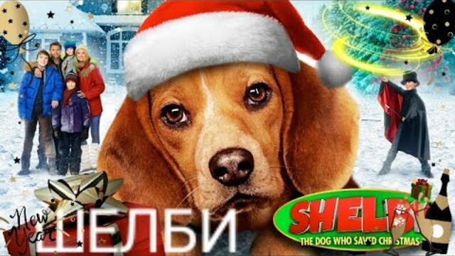 Шелби Бг Аудио (коледен, семеен)