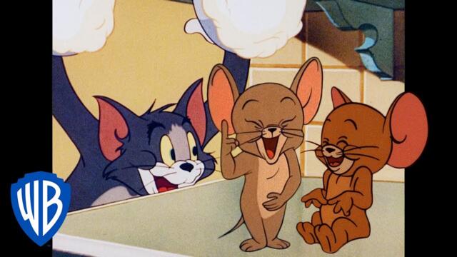 Tom & Jerry em Português 🇧🇷 | Brasil | Mantenha Seus Amigos Por Perto... | WB Kids