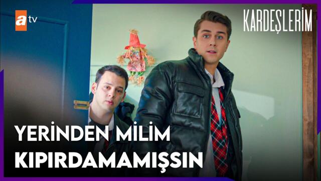 Tolga bütün gün aynı koltukta yattı - Kardeşlerim 75. Bölüm