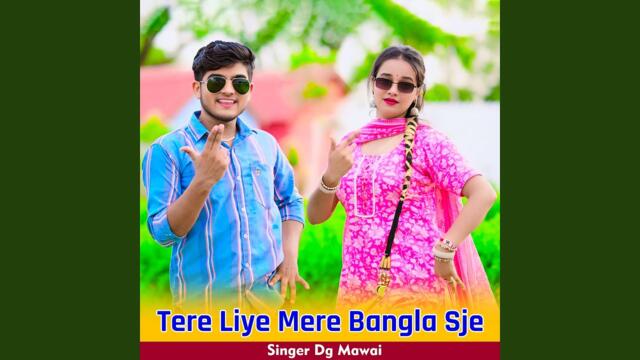 Tere Liye Mere Bangla Sje