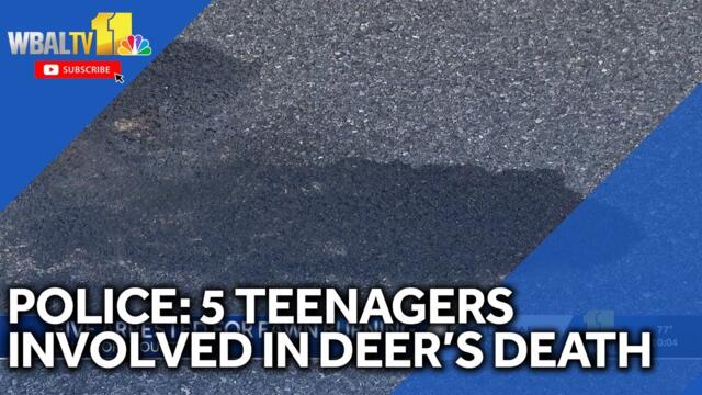Police: 3 juveniles charged, 2 adults arrested after deer found dead