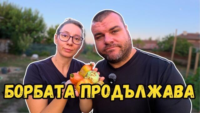 Нещата НЕ ОТИВАТ на добре | Милчеви БГ
