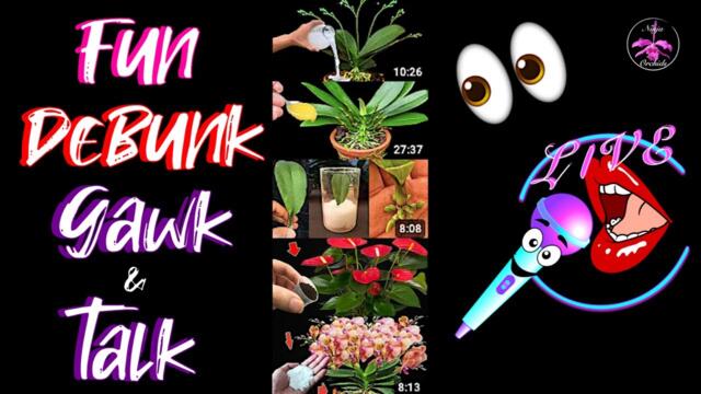 Debunking Fake Orchid Care Videos Spamming YouTube | Let's Analyze #ninjaorchids