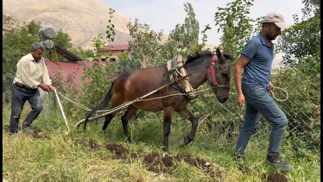 Dağ Köyünde Günlük Hayat 