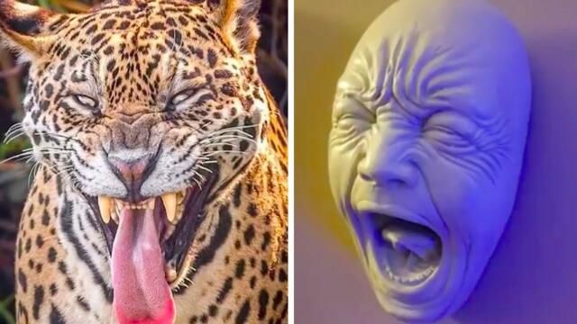 Удивительные кадры, которые впечатлят каждого