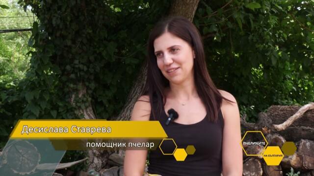 Пчелините на България: Под 10% смъртност в пчелините на Илия Павлов