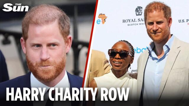 Harry always throws toys out of pram - latest charity move is childish