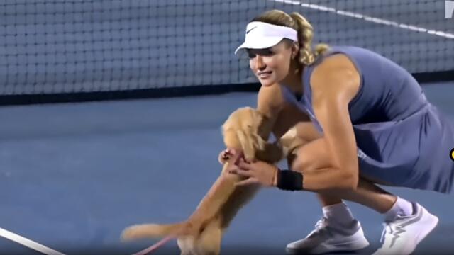 Anna Kalinskaya’s dog ran on court after her win over Clara Tauson