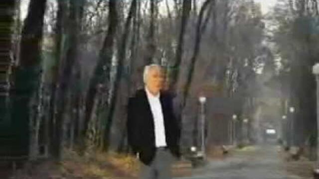 Zeljko Samardzic - Ko da zenu nikad nisam video