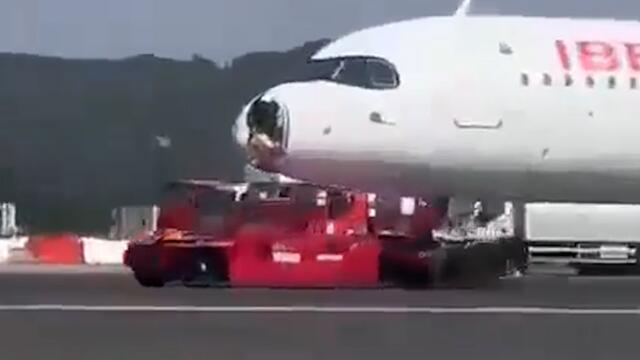 Un avion à destination de Paris fait demi-tour après une collision avec un « gros oiseau »