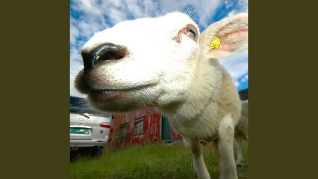 Good Things Happening