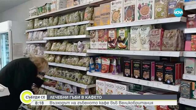 Гъбеното кафе набира популярност в Англия като здравословна алтернатива