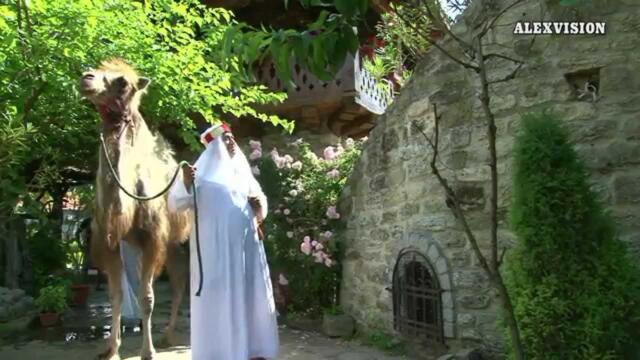 Оркестър Бриз и Наско Ментата - Лампата 2015