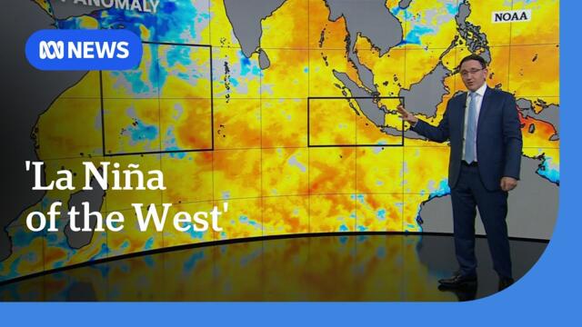 Wet weather forecast for spring as Indian Ocean climate driver emerges | ABC NEWS