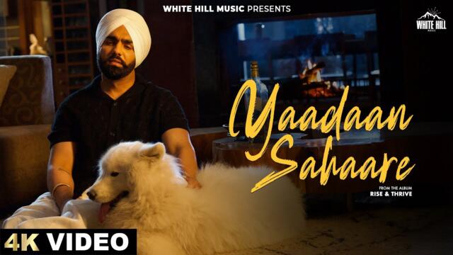 AMMY VIRK: YAADAAN SAHAARE (Official Video) | Drishhty Talwar | New Punjabi Song 2025 #ammyvirk