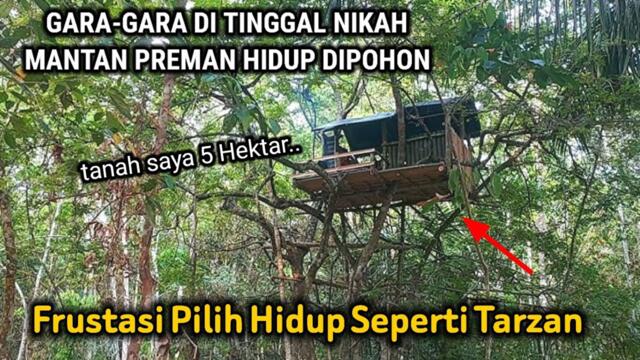 100 HARI TANPA TETANGGA!! PILIH HIDUP DI HUTAN BELANTARA DAN TIDUR DI RUMAH POHON