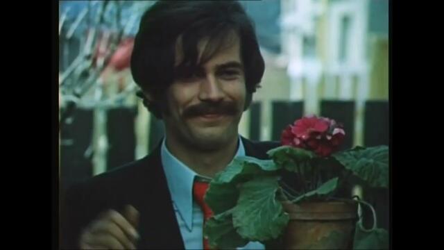 Къщи без огради (1973)