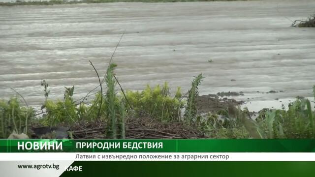 ПРИРОДНИ БЕДСТВИЯ: Латвия с извънредно положение за аграрния сектор