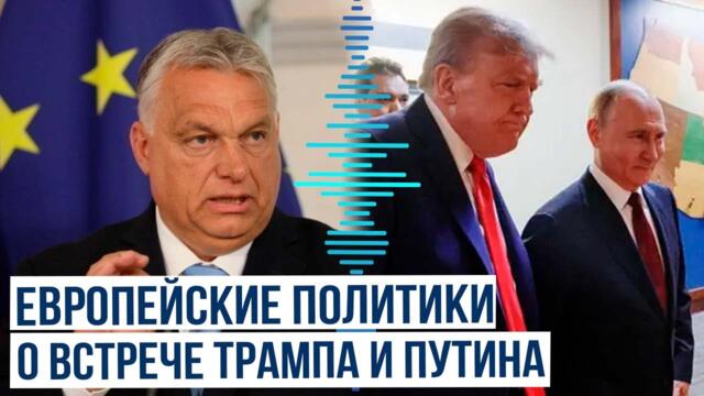 Ряд европейских политиков прокомментировал встречу Путина и Трампа на Аляске