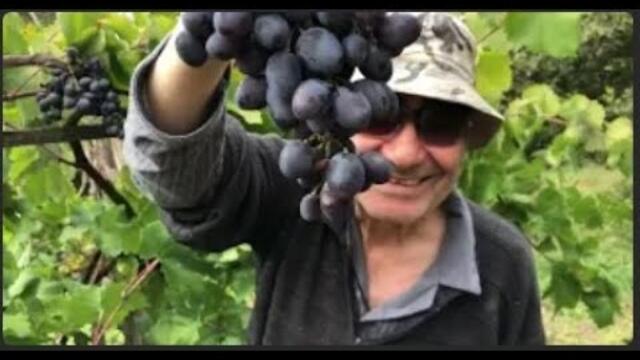 Welcome to Antoine's channel! Стари шлагери, фолклор, кючек,  extra playlists!