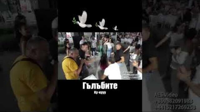 Genadi köçek KUCHEK KÖÇEK2026 düğün