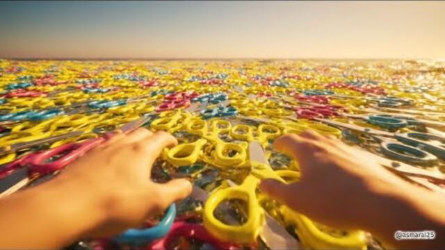 in which ocean would you swim ?