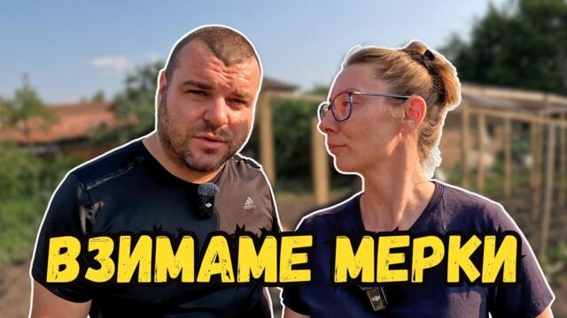 Котките са вилняли в градината ни | Милчеви БГ