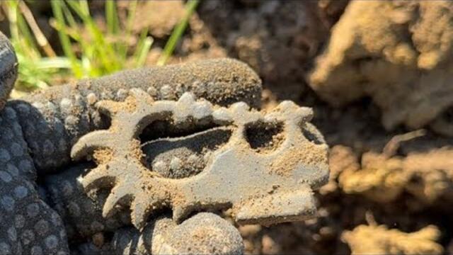 КОП НА МЕСТЕ СТАРОЙ ЯРМАРКИ! METAL DETECTING!