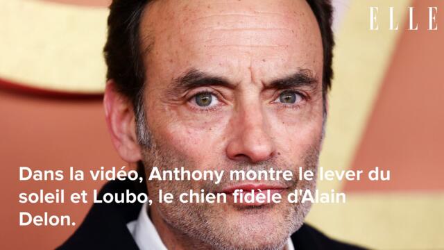 Alain Delon : un après son décès, son fils Anthony dévoile une vidéo silencieuse à Douchy