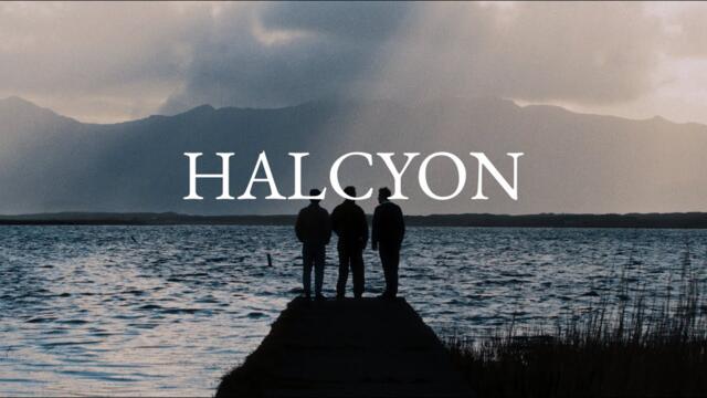 Kingfishr - Halcyon