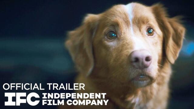 Good Boy - Official Trailer | HD | IFC Films