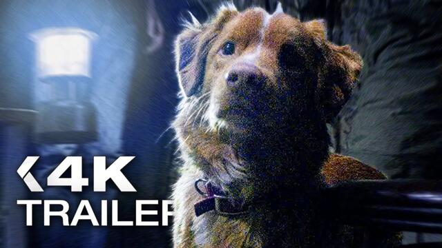 GOOD BOY Official Trailer (2025)
