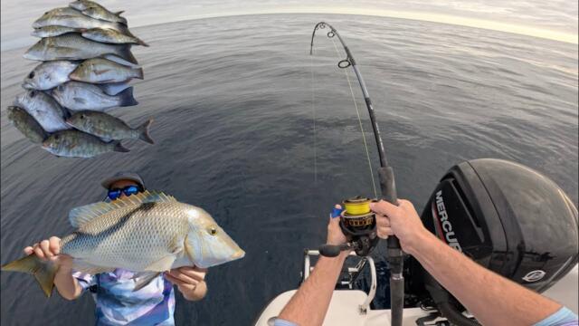 BIG SPANGLED EMPEROR CATCH AND CLEAN | Inshore Reef Fishing Exmouth WA