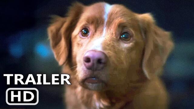 GOOD BOY Trailer (2025)