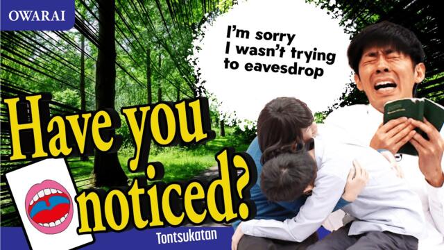 Have you noticed?/Tontsucatan