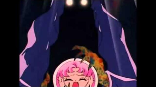 La Culpa es del Conejo