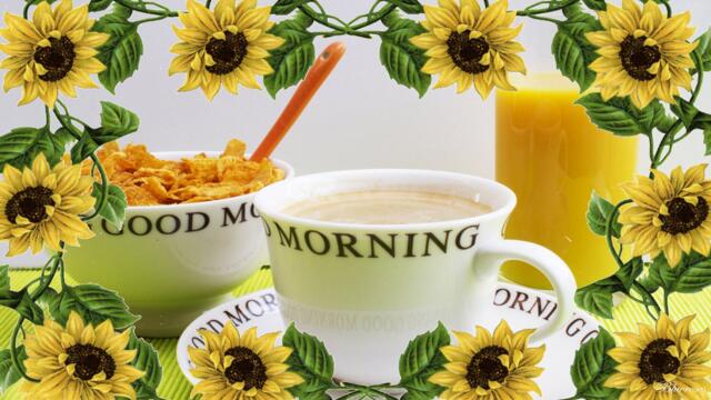 🌳☕️Спокойно и тихо утро сред природата, с чаша ароматно кафе☕️🌳