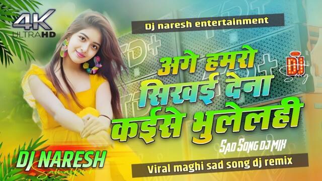 hamro sikhai dena kaise bhulelhi dj remix | #insta_viral_song | bhojpuri gana dj remix | Dj Naresh |