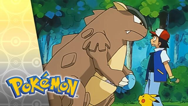 An Egg-Sighting Adventure | POKÉMON FULL EPISODE 20 | Season 5