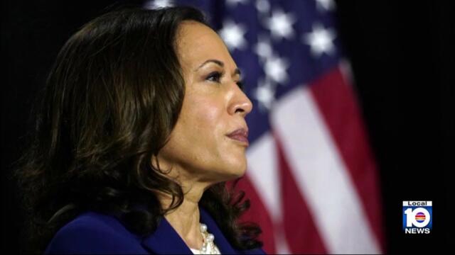 President Trump has revoked Secret Service protection for former Vice President