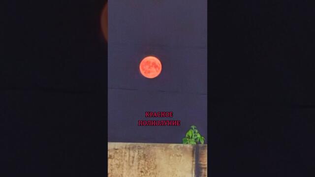 Красное полнолуние, пугает… #moon #night