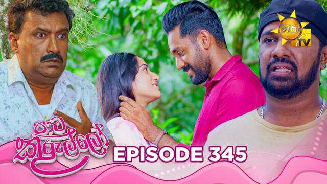 Paata Kurullo - පාට කුරුල්ලෝ | Episode 345 | 2025-09-04 | Hiru TV