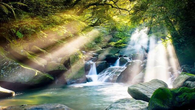 BEAUTIFUL MORNING MUSIC - Positive Feelings and Energy - Soft Morning Meditation Music For Wake Up