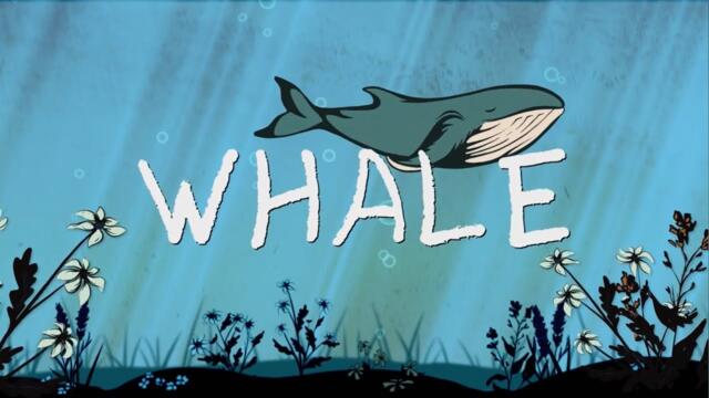 Becky Buller - “Whale” [Official Lyric Video]