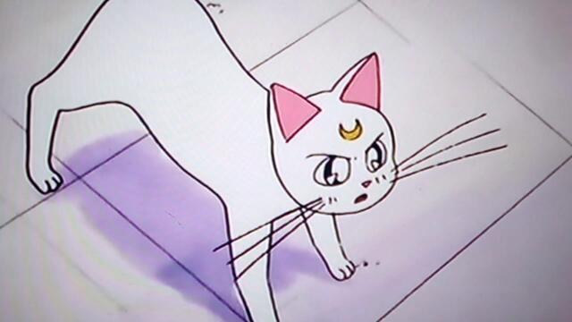 Mina y sus duda de su príncipe azul