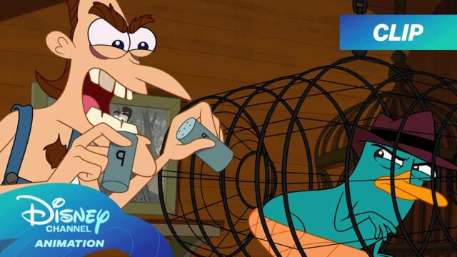 Dr. Doofenshmirtz's Cousin Captures Perry the Platypus | Phineas and Ferb |@disneychannelanimation