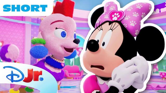 Minnie & Daisy Pamper a Fancy Pooch Who Wants to Play 🎀 | Minnie's Bow-Toons: Pet Hotel |@disneyjr